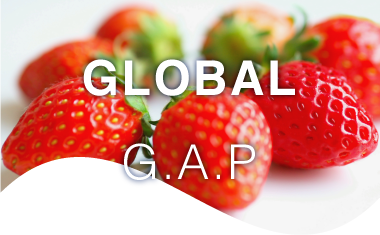 グローバルGAPサポートのイメージ